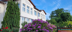 Ferienwohnungen Stranddistel - Apartments von 30 bis 75 qm in Zinnowitz